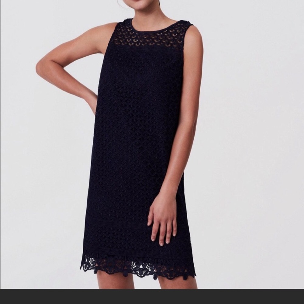 LOFT Petites Navy Blue Lace Shift Dress